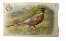 Vintage 1904 Trade Card Arm & Hammer NY Church & and Co. Mongolian Pheasant B67 picture