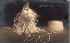 1906 Vintage RPPC Postcard-   Kitten Playing With The Yarn-