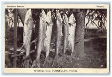 c1930's Greetings From Dunnelon Florida FL, Southern Scenes Tarpon Postcard picture