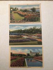 Set Of 3 Antique Postcards - Gardens In Harrisburg PA picture