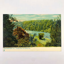 Postcard New York Rochester NY Genesee River Seneca Park Pre-1907 Tuck 2029 picture