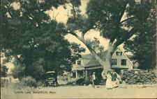 Magnolia Massachusetts MA Lobster Lane c1910 Vintage Postcard picture