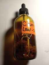 Court Case  Law Stay Away  Oil picture