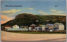Tilbury Knob Pennsylvania Postcard D668 picture