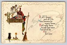 Postcard Halloween Witch Broom Black Cat Owls Poem c1910s AB1 picture