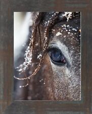 Horses Eye Framed Print - SALE picture