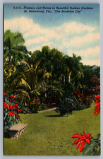 Postcard Sunken Gardens St. Petersburg (The Sunshine City) Florida Linen picture