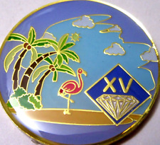 Beach Blue Narcotics Anonymous NA 15 Year Medallion Gold purple token coin pink picture