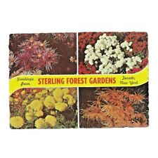 VTG Postcard Sterling Forest Gardens Tuxedo New York Flowers Dexter Press picture