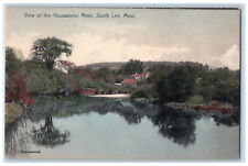 View Of Housatonic River South Lee MA Vintage Hand Colored Rotograph Postcard picture