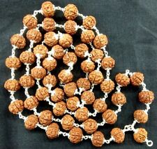 Rudraksha Chikna (Pathri) Beads Mala in Pure Silver - 11mm - 54Beads - Certified picture
