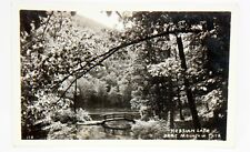 Postcard New York Hessian Lake Bear Mountain Park Real Photo Rppc picture