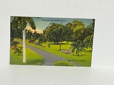 Postcard Greetings from Jamaica Hope Botanical Gardens A62 picture