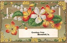 Greetings from Bloomfield Iowa Davis County Embossed & Gold Accents Postcard picture