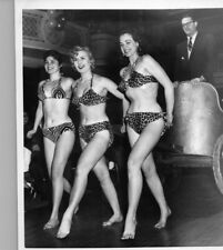 Steve Allen, Girls in Bikini  Press Photo 1954 New York Bureau 8 x 7 Rare  picture