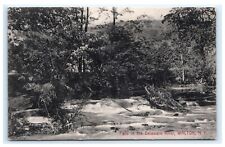 Falls Delaware River Walton NY New York 1910 Postcard F3 picture