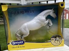 Breyer Collector Club Appreciation 2024 Glossy Get Rowdy NIB picture