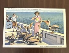 Vintage Linen Postcard It's Always Lunchtime on the Pier in St. Petersburg FL picture