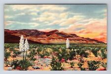 Alamogordo NM-New Mexico, Sacramento Mountains, Vintage Postcard picture