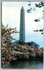 Postcard Washington Monument Washington D.C.     G 10 picture
