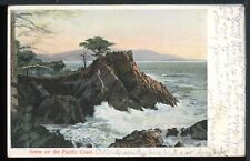 1907 Pacific Coast Cypress Monterey California Historic Vintage Postcard M945 picture