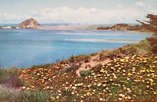 Morro Rock and Bay, Harbor  View From Baywood CA 1950s Vintage Postcard picture
