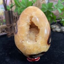 1.61LB Natural Dragon Septarian Polished Crystal Egg Specimen Reiki Healing picture