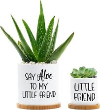 Say Aloe to My Little Friend Planter Set of 2 Funny Pot Bamboo Tray No Plants picture