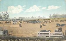 DURHAM STOCK RANCH Land Colony, Chico, CA Cows Cattle 1926 Vintage Postcard picture
