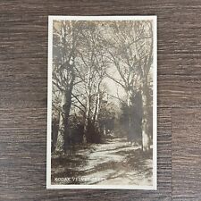 Walking Path in Forest KODAK VELVET GREEN Antique RPPC Real Photo 1914 picture