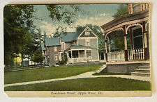 Apple River Illinois Residence Street View Vintage Postcard c1910 picture