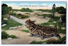 Texas TX Postcard Horned Toad Smoking A Cigarette Animals c1940's Vintage picture