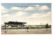 Postcard CO Denver Mile High Kennel Club Track Linen Vintage PC picture