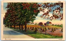 Postcard - Autumn Farm Barn Nature Scenery - Greeting Card picture