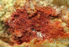 Mimetite var. Bellite (Chromium) from the Ponderosa Mine in Chile ex. Szenics picture