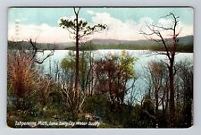 Ishpeming MI-Michigan, Lake Sally, City Water Supply, Vintage Postcard picture