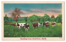 Greetings From Algonac Michigan c1940's cows in pasture, rural scene picture