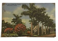 Postcard FL Royal Palms And Flowers Hollywood Florida Linen 1948 Vintage picture