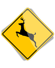 Caution Deer Crossing - Aluminum Sign picture