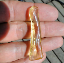 Golden Copal long drop - Young AMBER with Insects inclusions - Madagascar picture