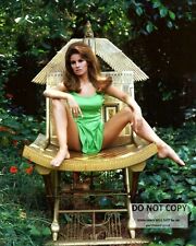 RAQUEL WELCH ACTRESS AND SEX-SYMBOL - 8X10 PUBLICITY PHOTO (SP-029) picture