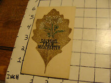 vintage UNUSED postcard: souvenir from Manchester REAL LEAF AND STUFF ON TOP picture