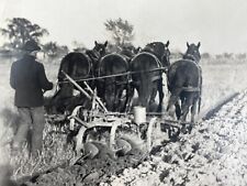 BZ Photograph Farmer Man Plowing Field Team 4 Horses 1910-20's Country Farm picture