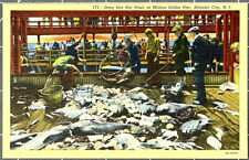New Jersey Atlantic City NJ Million Dollar Pier Net Haul Fishing 1940s Postcard picture