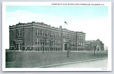 Gillespie Illinois~Community High School & Gymnasium~1920s Blue Sky Postcard picture