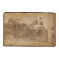 Antique Cabinet Card Victorian Outdoor Photo Man Woman Horse Carriage London picture