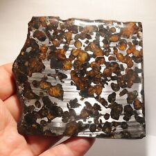 67g Rare slices of Kenyan Pallasite olive meteorite  A58 picture