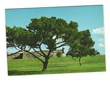 Castillo De San Marcos National Monument St Augustine Florida Postcard Unposted picture