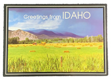 Greetings From Idaho Harvest on the Farmlands Postcard Unposted picture