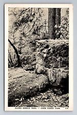 Cook Forest Park PA-Pennsylvania, Scene Along Seneca Trail, Vintage Postcard picture